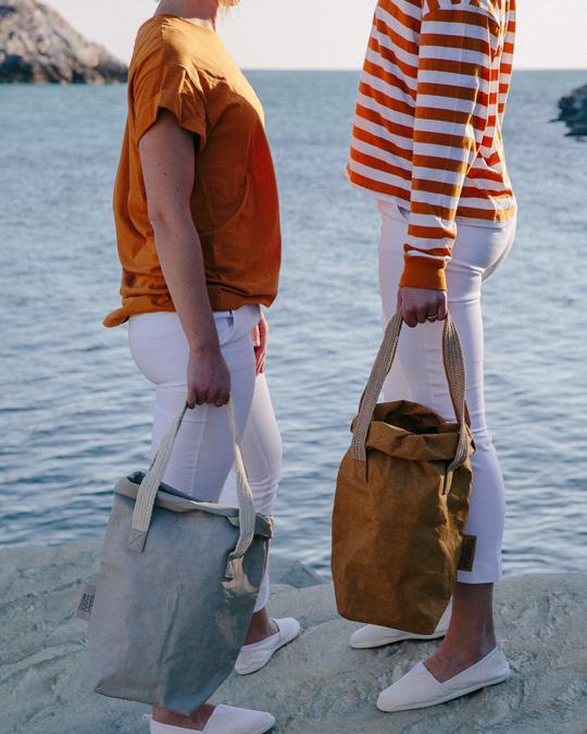 Paper carry bag 