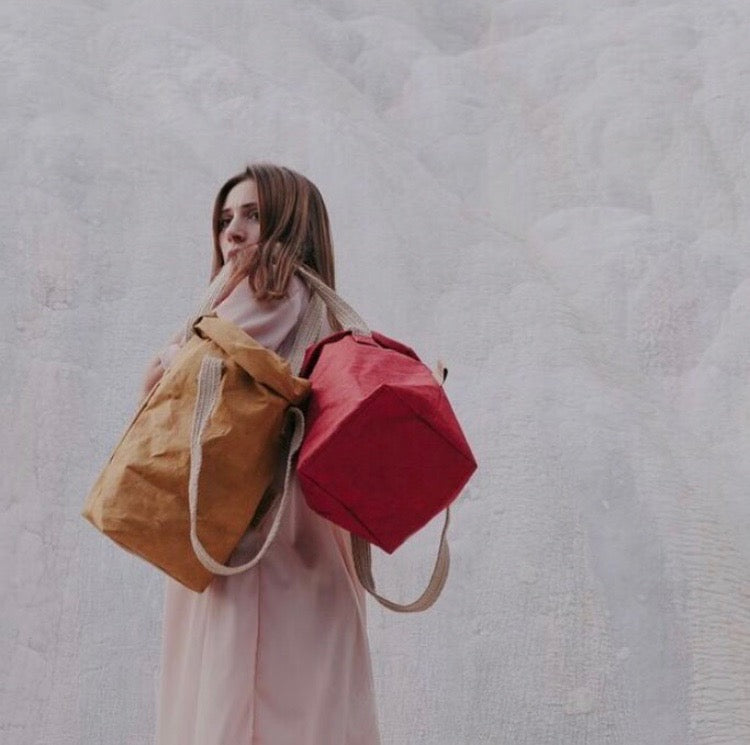 Paper carry bag 